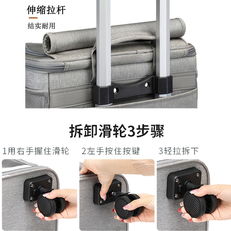 กระเป๋าเดินทางสำหรับสัตว์เลี้ย - Foldable Rolling Luggage Bag บทวิจารณ์และราคา